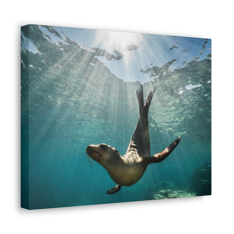 Wall Art on Canvas