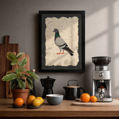 Pigeon Study Vintage - Print