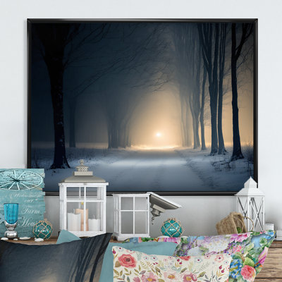 " Wintercalm During Forest Winter Time V "
