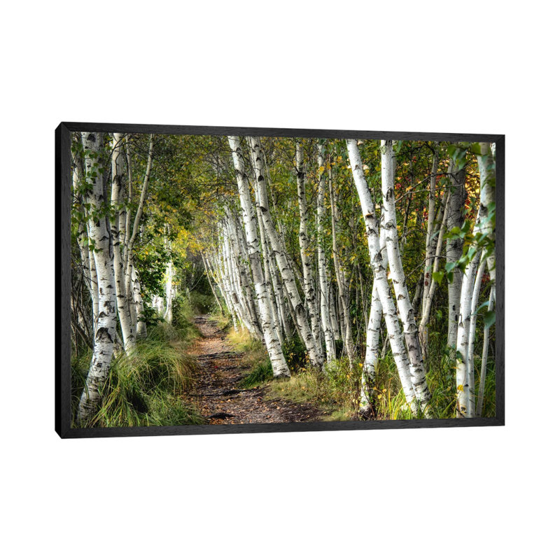 1 Piece Wall Art on Canvas, 152.5 cm H x 101.5 cm W, Black Framed, Black Framed