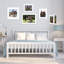 Matte Picture Frame-16756901-16756900