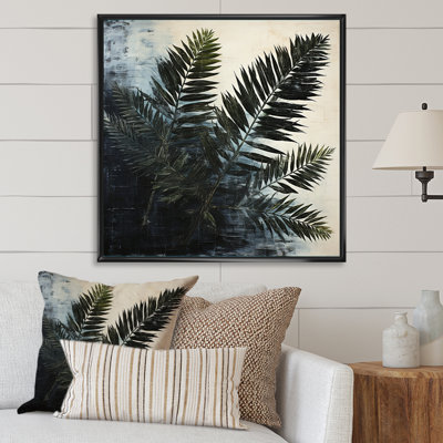 " Shadowed Black Spruce Leaves "