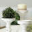 8'' H Metal Tabletop Candlestick
