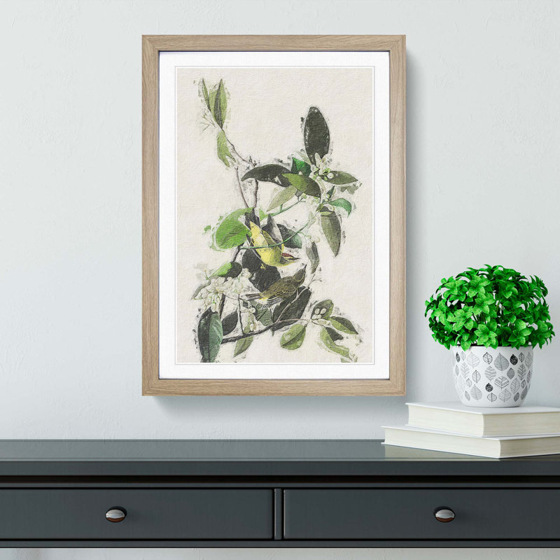 Palm Warbler by John Audubon - Framed Print, 48cm H x 36cm W x 2cm D, Oak Framed