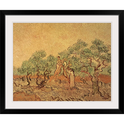 " The Olive Grove, 1889 " by Vincent Van Gogh