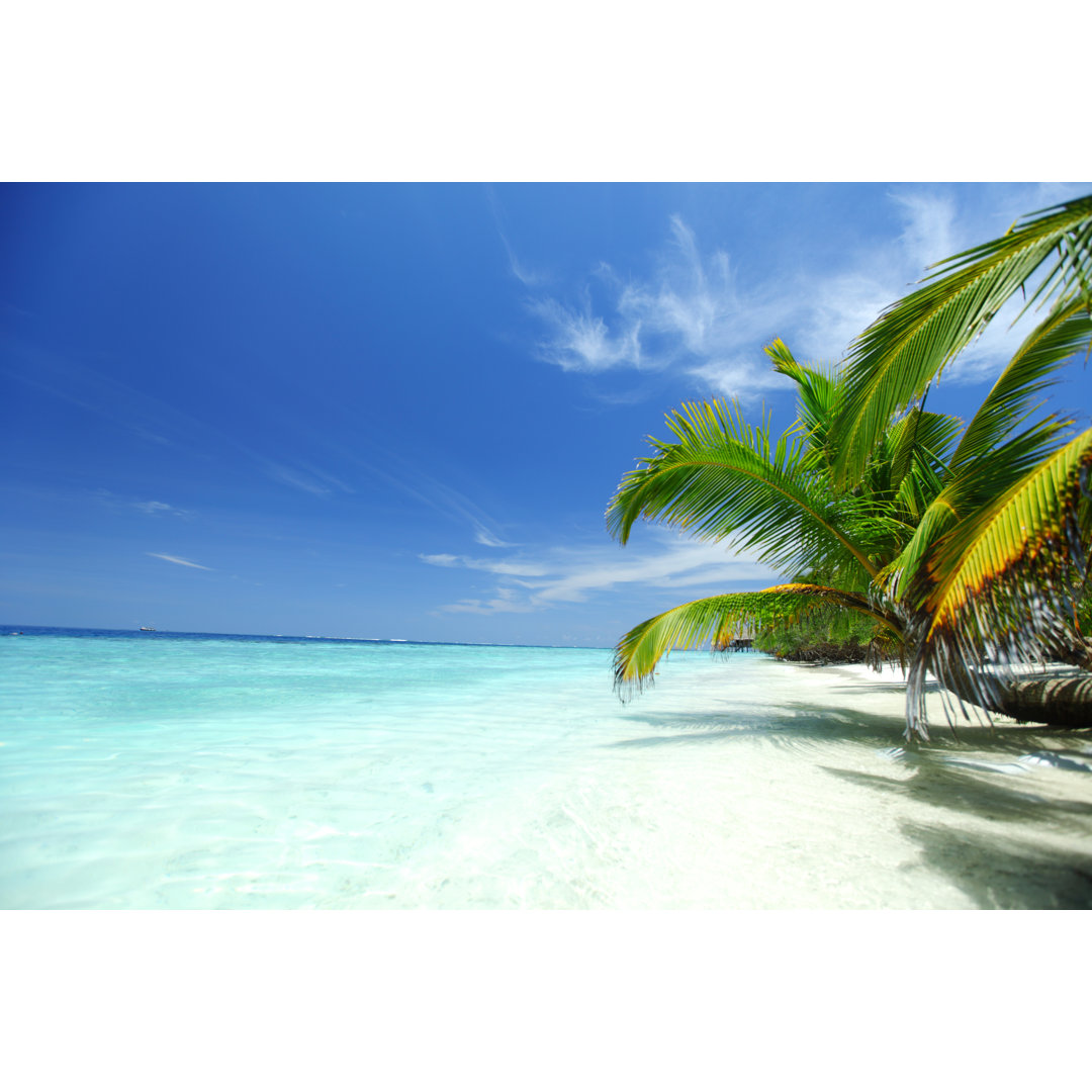 Tropical Island - Wrapped Canvas Print