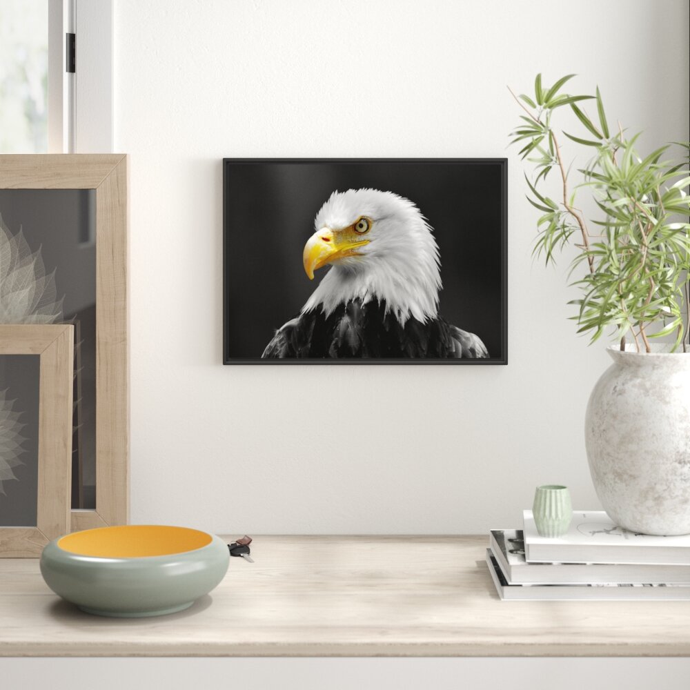 Gerahmtes Wandbild eindrucksvoller Weißkopfseeadler