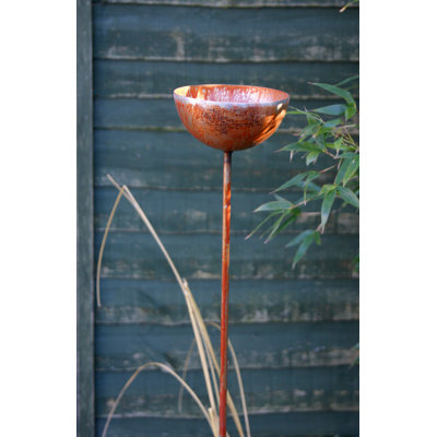 Koschwanez Decorative Bird Feeder