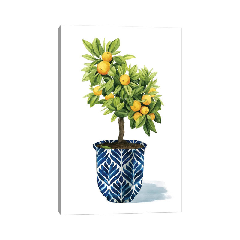 Fruit Tree I by Grace Popp - Wrapped Canvas Painting, 30.48 cm H x 45.72 cm W