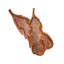 Feather Set Of 2 Serving Boards Includes 2 Sizes
