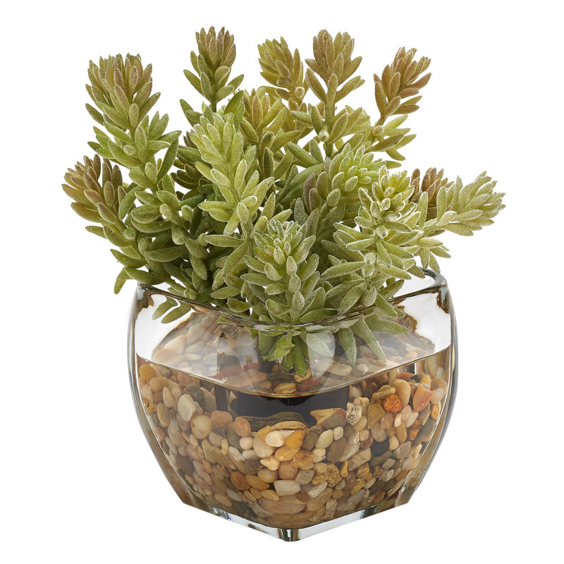 7.5'' Faux Flocked Mini Succulent Succulent in Glass Decorative Vase