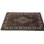 Pasqualine Hand Woven Cotton and Wool Oriental Area Rug