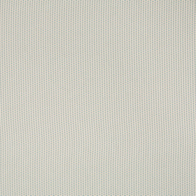 Festival Color Fabric
