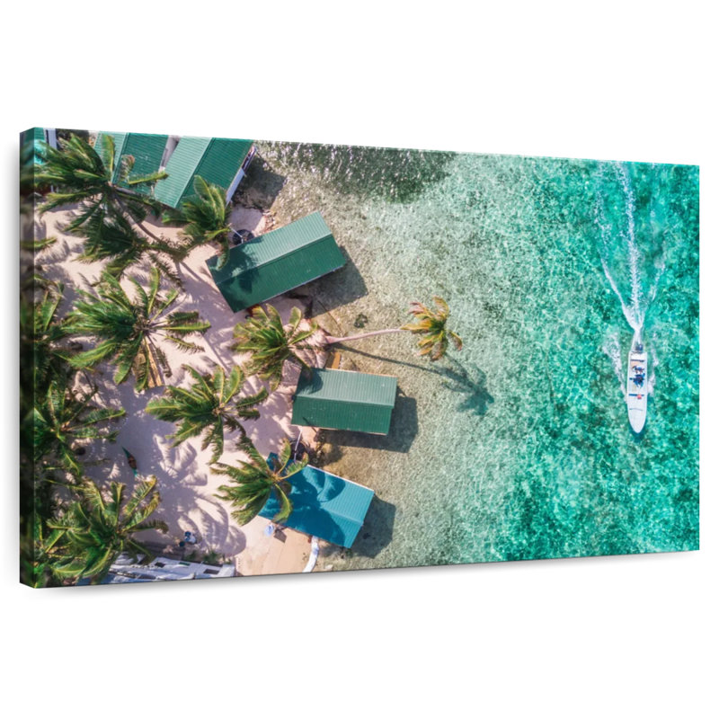 Lilie tabac Caye vue aérienne, H 16 po x l 24 po
