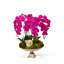 Orchid Flowering in Urn-1177800292
