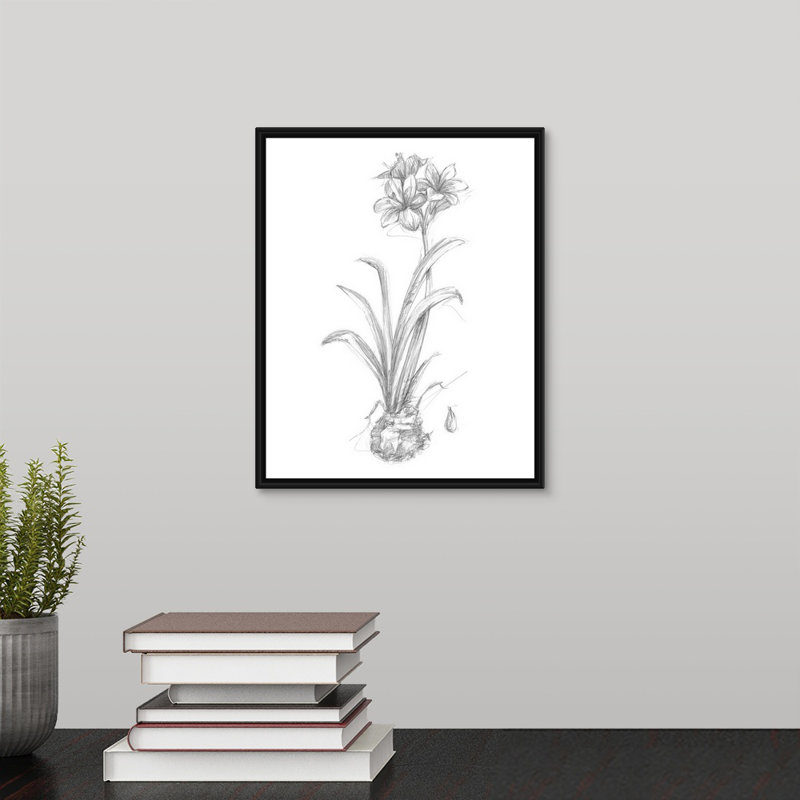« fleuri sketches ii » par le novogratz-reproduction d’art sur toile, H 20 po x l 16 po x P 1,25 po, Cadre flottant noir