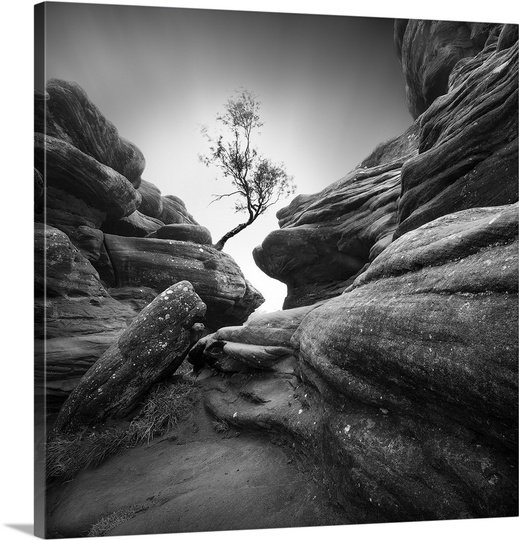 « lutte », reproduction de photo sur toile, H 16 po x l 16 po x P 1,25 po