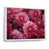 White Floater Framed