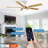 Klaudius 56'' Ceiling Fan with LED Lights-1272956263-1272956260