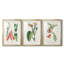 Turpin Tropical Botanicals I - Impression personnalisée de qualité supérieure avec passe-partout - 3 pièces-297979655-297979649