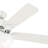 44" Swanson 5 - Blade Standard Ceiling Fan with Pull Chain and Light Kit Included-49136424