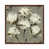 Classic Brown Wood Framed