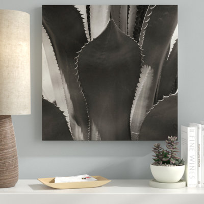 " Agave II " by Rita Crane