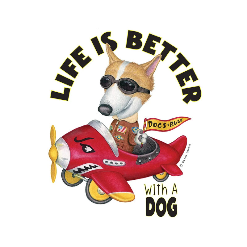 Corgi In A Plane With Words by Danny Gordon - Wrapped Canvas Gallery-Wrapped Canvas Giclée, 37" H x 37" W, Wrapped Canvas