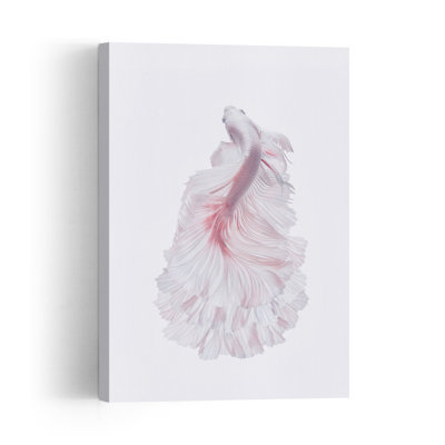 Pink Betta Elegance Delicate Elegant Serene Fish Wall Art Print 1 Piece Wrapped Canvas Wall Art