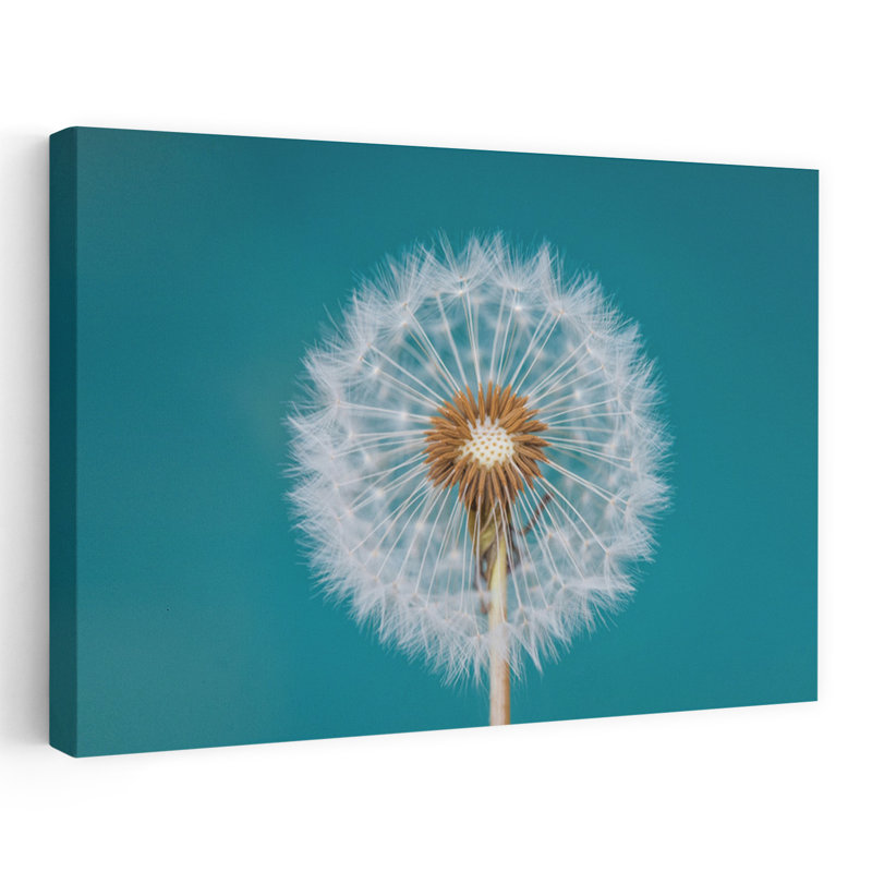 Art contemporain abstrait fleur de pissenlit minimaliste, H 24 po x l 16 po