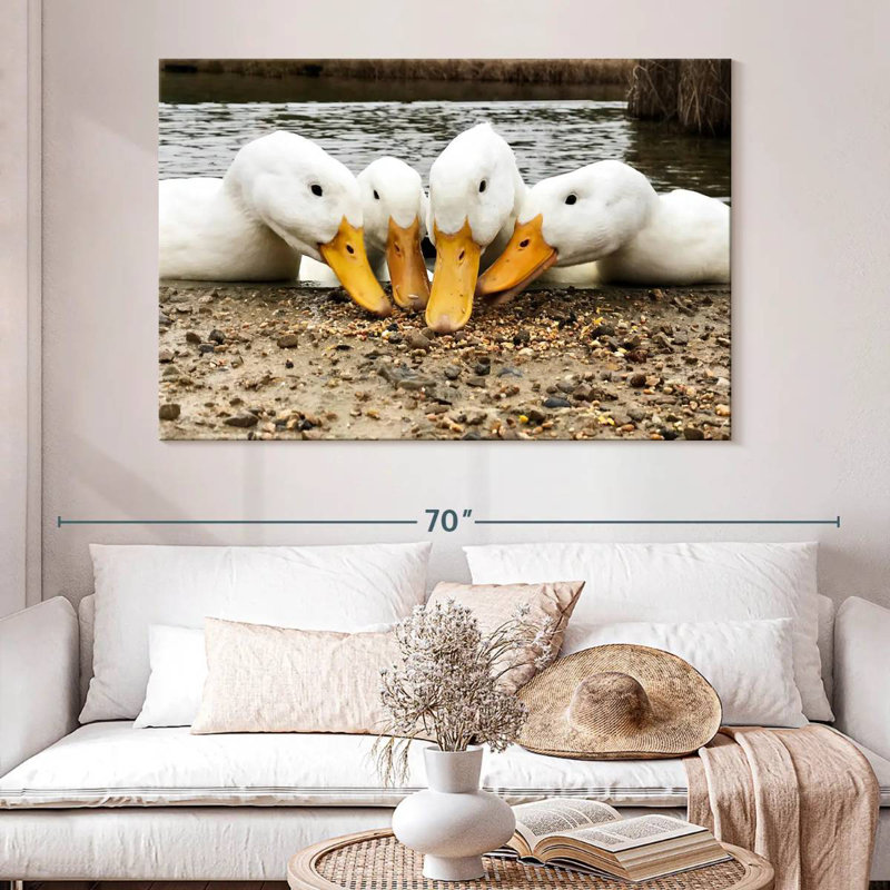 Pekin Ducks de Brampt, H 34 po x l 51 po