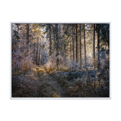 «Forest Trees In Winter», reproduction d'art sur toile