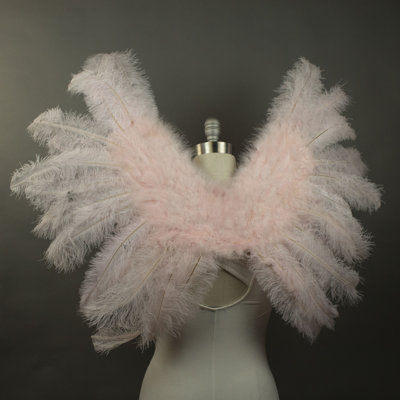 Large Ostrich Feather Wings - Light Pink