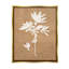 «Rustic Botanical Shape Floater Frame» par Graffitee Studios sur toile-658328702-658328697