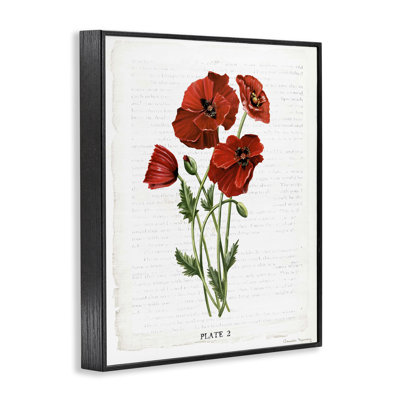 «Vintage Poppy Study», estampe numérique, conception de Danielle Murray