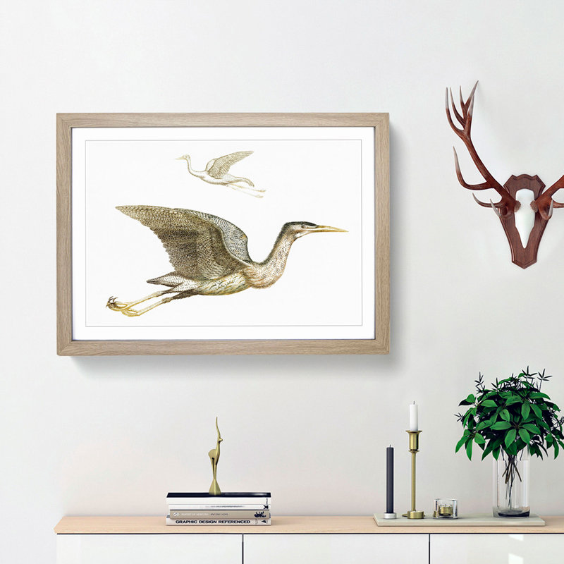Crane & Bittern by Johan Teyler - Picture Frame Painting Print, Oak Framed, 27cm H x 36cm W x 2cm D