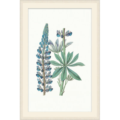 Sapphire Flora 4 Print by Studio L57 Nouvelle