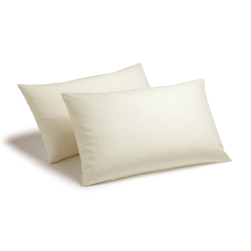 Izyan Cotton Blend Standard Pillow Case, Ivory