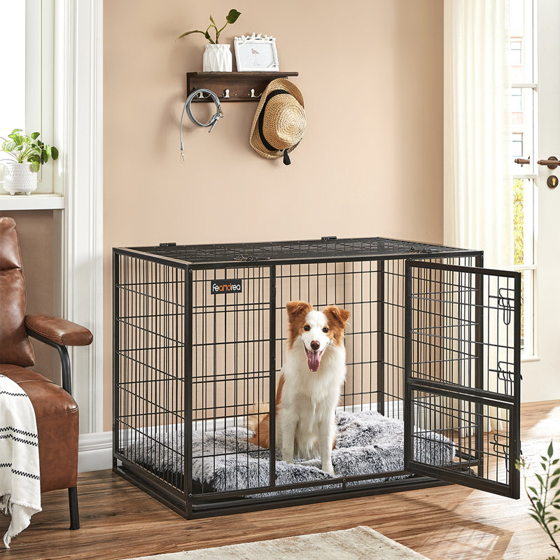 Caisse pour chien robuste avec plateau amovible, H 29,5 po x l 42,1 po x P 27,6 po