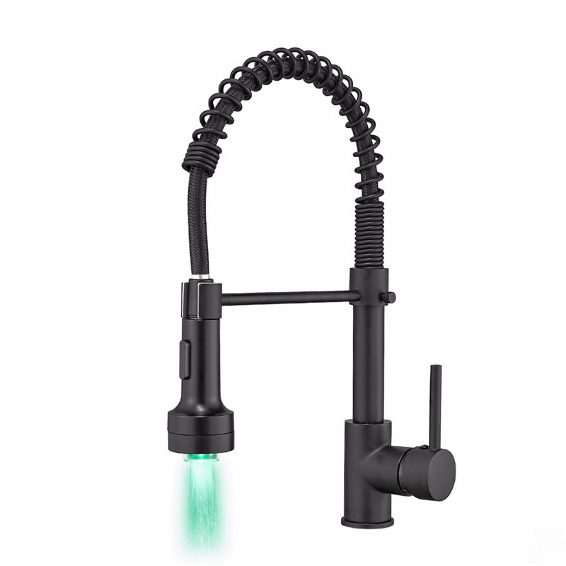 Robinet de cuisine avec douchette rétractable, robinet d'évier de cuisine à poignée simple, Noir