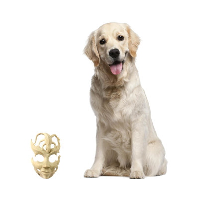 Décoration murale de lézard en bois de fait main salamandre beige cadeau