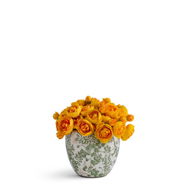 Baby Ranunculus