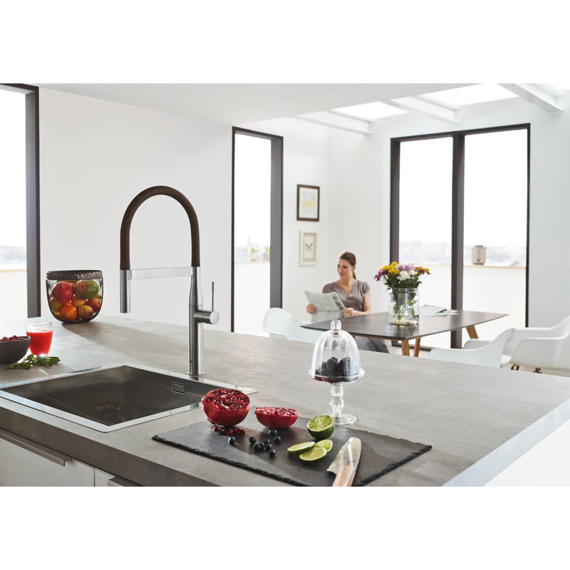 Essence New Single Handle Kitchen Faucet with SilkMove® and with Accessories, Hard Graphite
