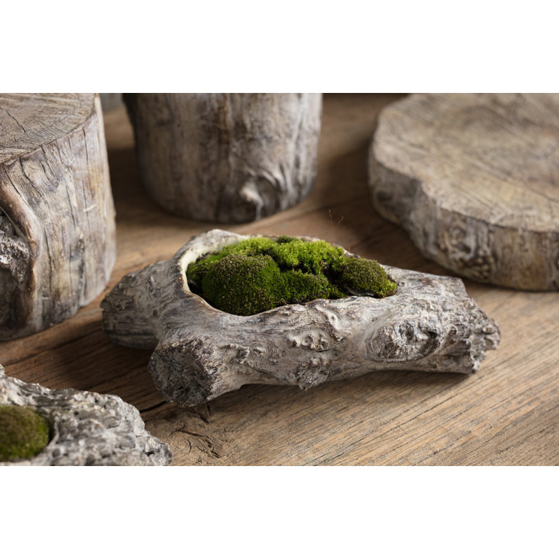 Aube Statue Planter, 3.25" H x 16" W x 7" D