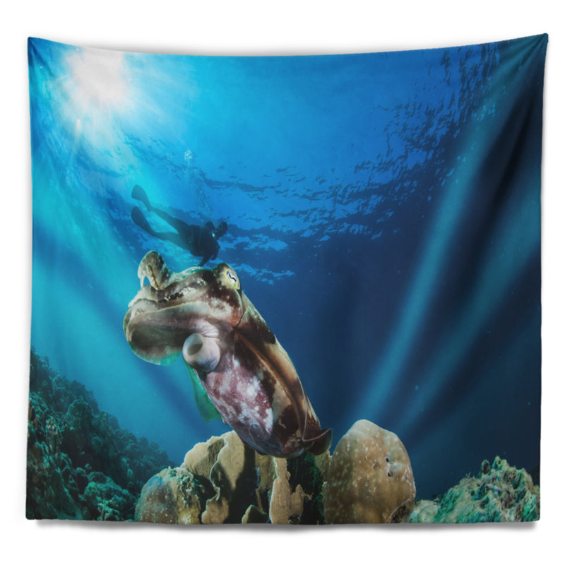 Tapisserie sous-marine seiche Broadclub Seashore, H 32 po x l 39 po