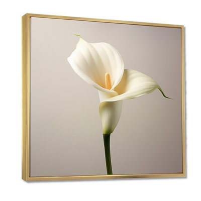 Gros plan sur une fleur de lis arum blanc - art mural Lily