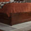 Lamecia Solid Wood Platform Bed with Trundle-786355753-786355751