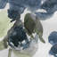 «Belle’s Blue I and II Indigo», reproduction sur toile tendue 2 pièces
