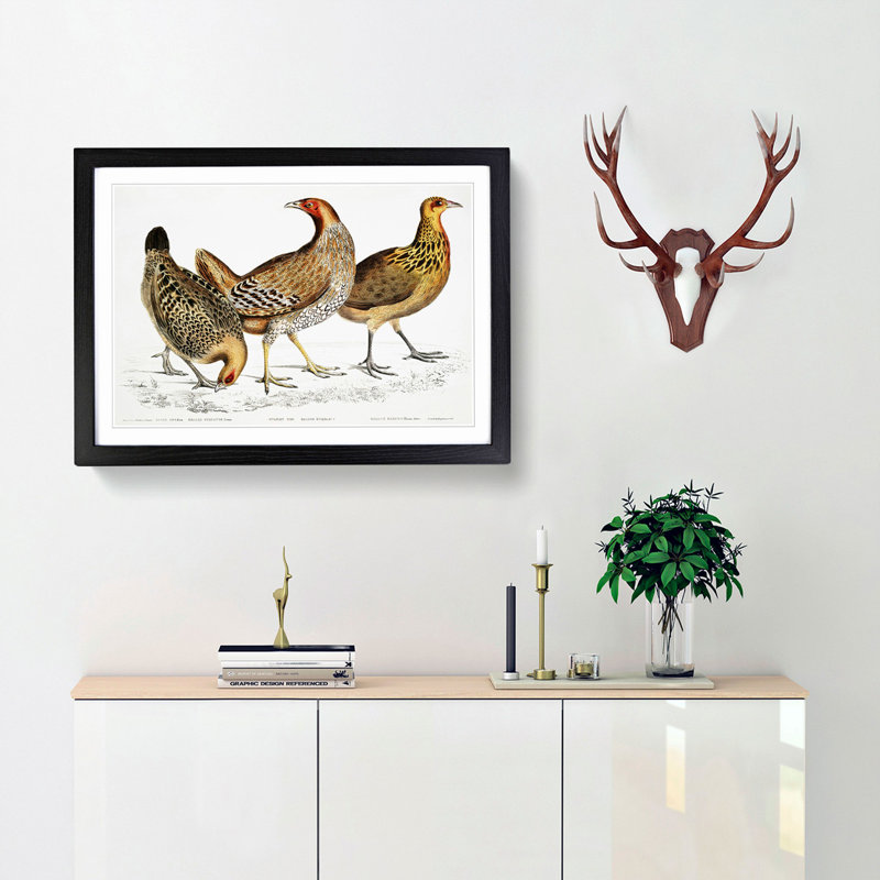 Illustration of Hens by John Edward Gray - Framed Print, 48cm H x 65cm W x 2cm D, Black Framed