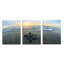 Tortue par Chris Doherty - ensemble de 3 reproductions de photos sur toile-103282150-103283124-107083943